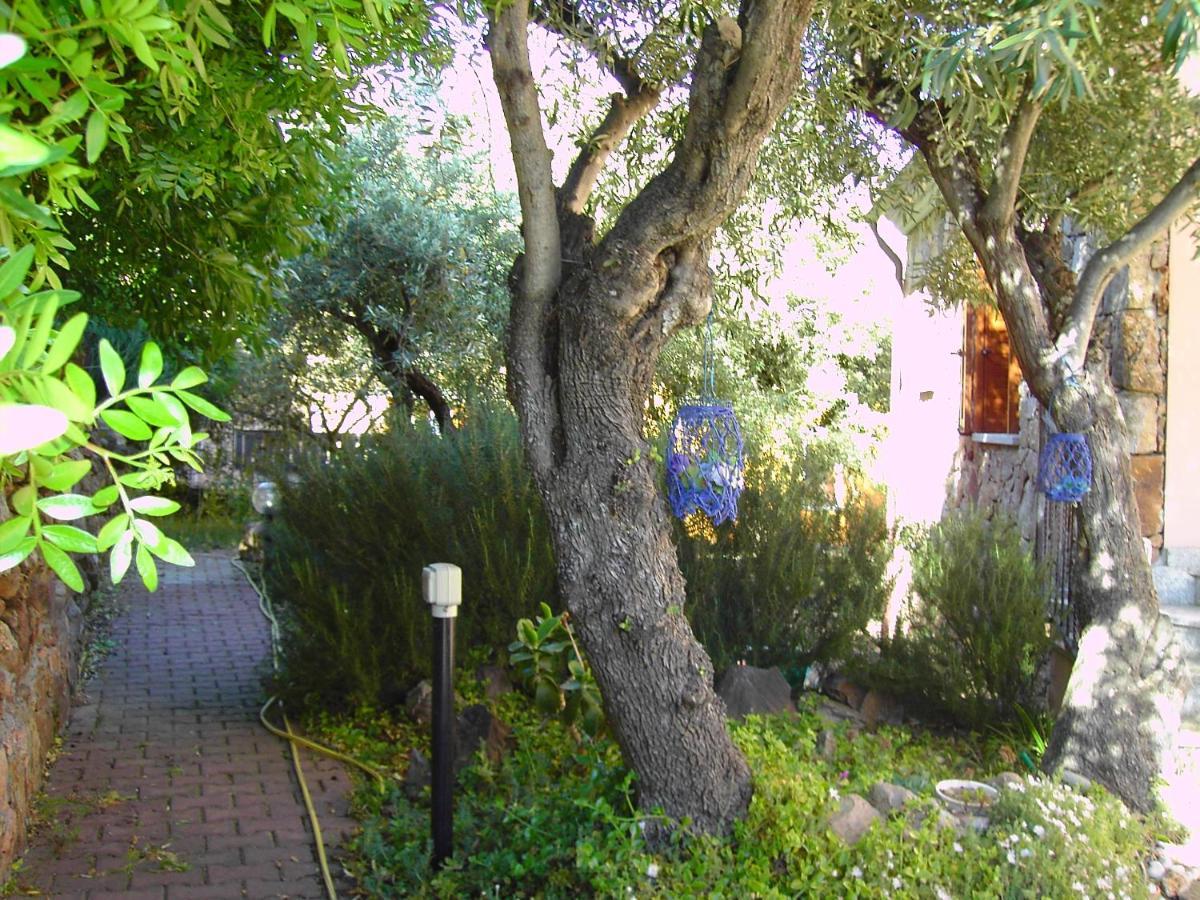 Secret Garden Apartment Budoni Bagian luar foto